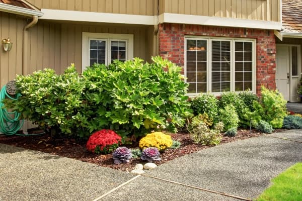 Flower Bed Installation Service Image