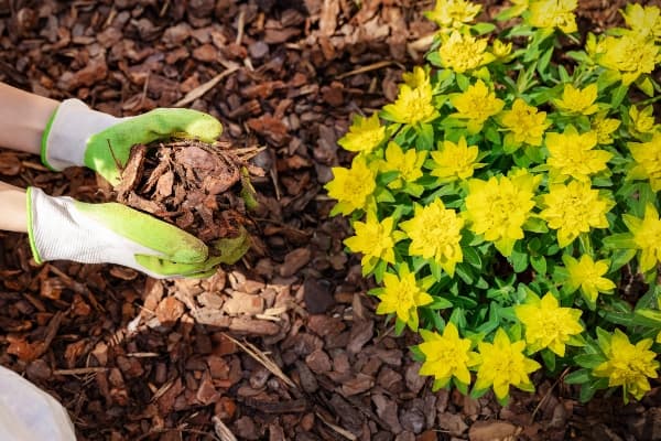 Mulching Service Image