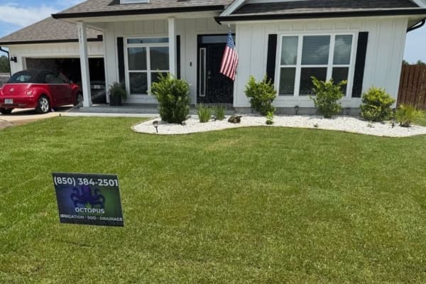 Sod Installation Service Image