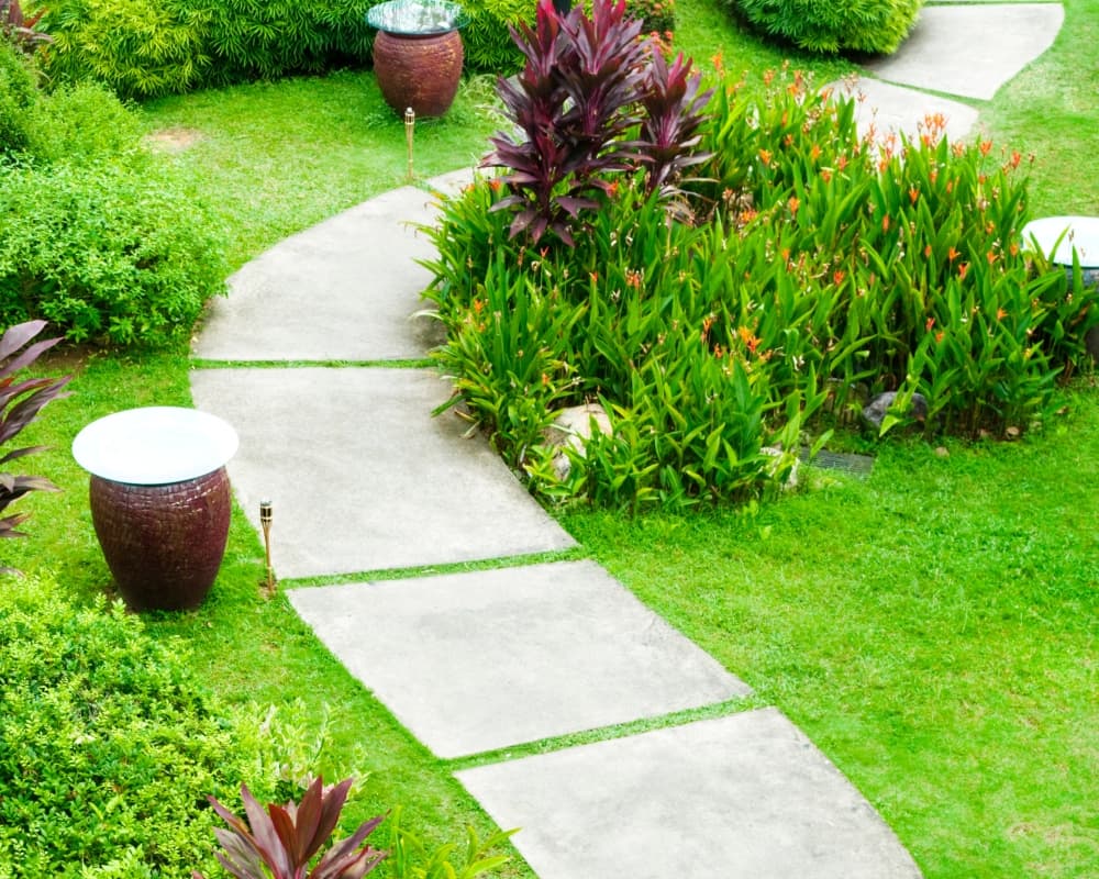 Landscaped Area
